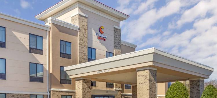 舒适套房酒店-惠特塞特格林斯博罗东(Comfort Suites Whitsett - Greensboro East)图片