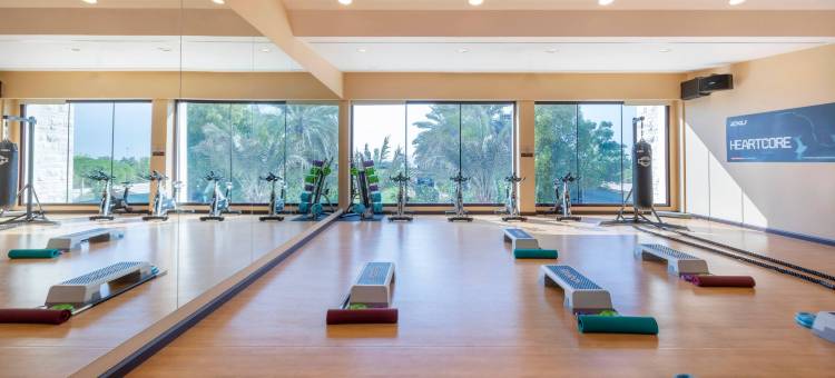 美利亚沙漠棕榈-美利亚精选(Meliá Desert Palm Member of Meliá Collection)图片