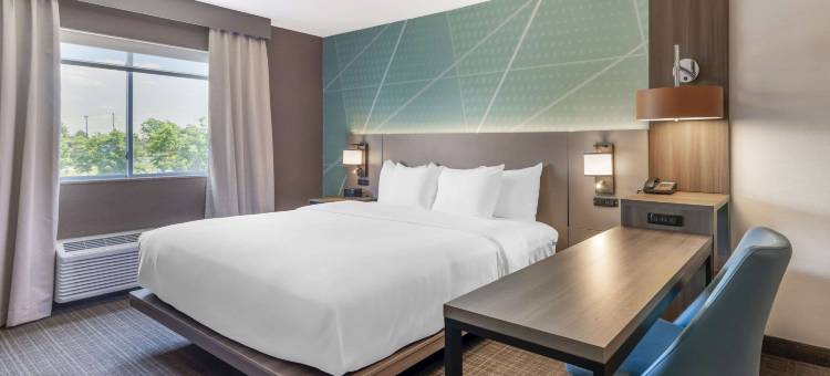 舒适酒店及套房-萨拉托加斯普林斯(Comfort Inn & Suites Saratoga Springs)图片