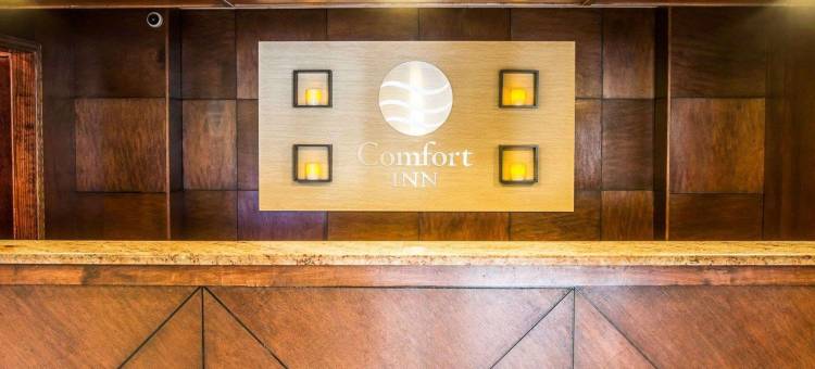 白厅舒适酒店 - 近密歇根冒险乐园(Comfort Inn Whitehall Near Michigan's Adventure)图片