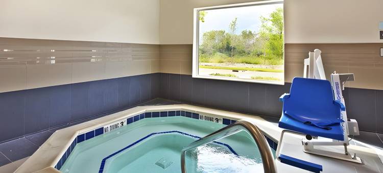 安阿伯西智选假日套房酒店(Holiday Inn Express & Suites Ann Arbor West)图片