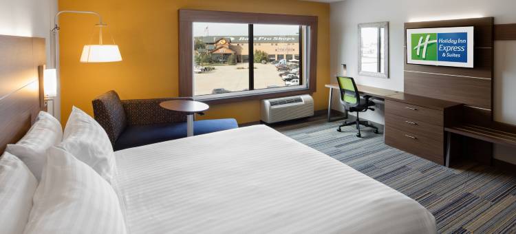 智选假日套房酒店-东皮奥里亚/河滨(Holiday Inn Express & Suites East Peoria - Riverfront)图片