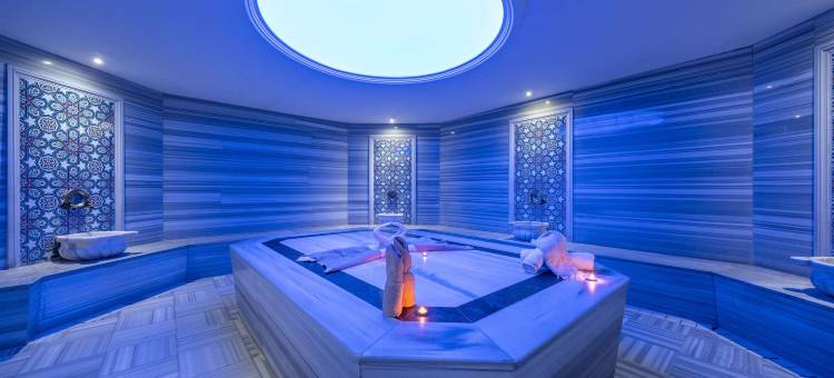 伊斯坦布尔玛姆特贝克拉丽奥酒店(Clarion Hotel Istanbul Mahmutbey)图片