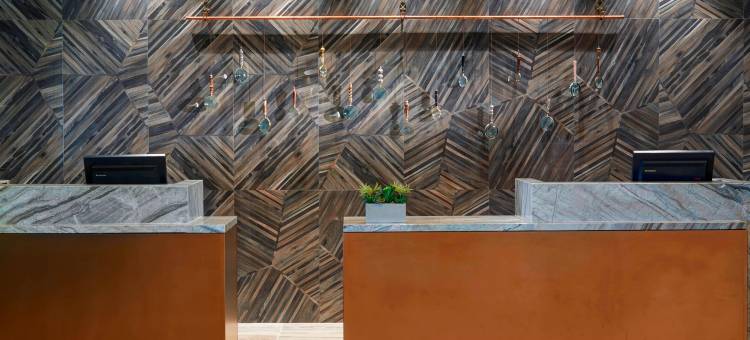 芝加哥西南布尔里奇万豪酒店(Chicago Marriott Southwest at Burr Ridge)图片