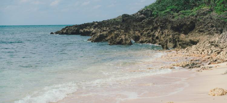 BLANC MIYAKOJIMA(BLANC MIYAKOJIMA)图片
