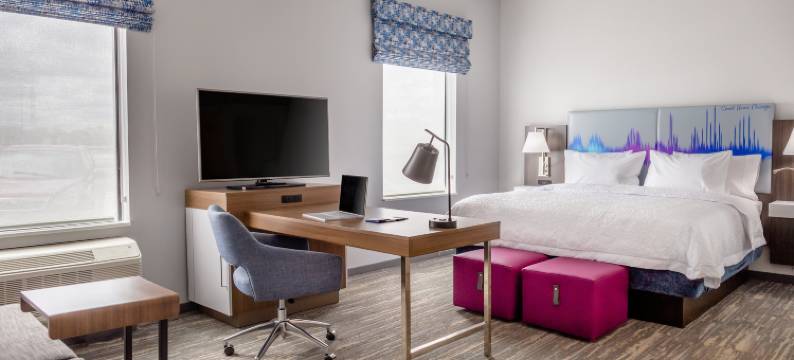 芝加哥布里奇维尤希尔顿欣庭酒店及套房(Hampton Inn & Suites Bridgeview Chicago)图片