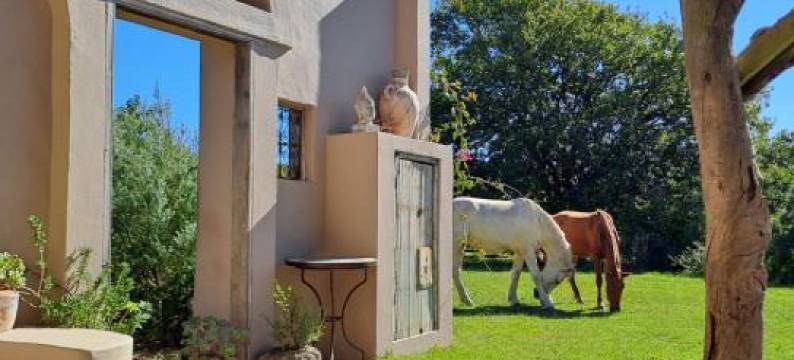 阿卡莎山庄度假屋(Akasha Mountain Retreat, New Location)图片