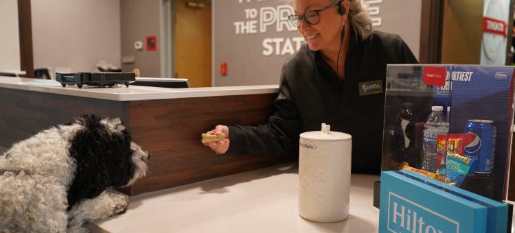 芝加哥安若拉欢朋套房酒店(Hampton Inn & Suites Chicago/Aurora)图片