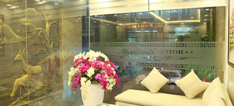 瓦伦丁酒店(Valentine Hotel Da Nang)图片