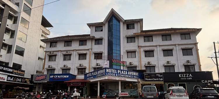 广场大道酒店(Hotel Plaza Avenue)图片