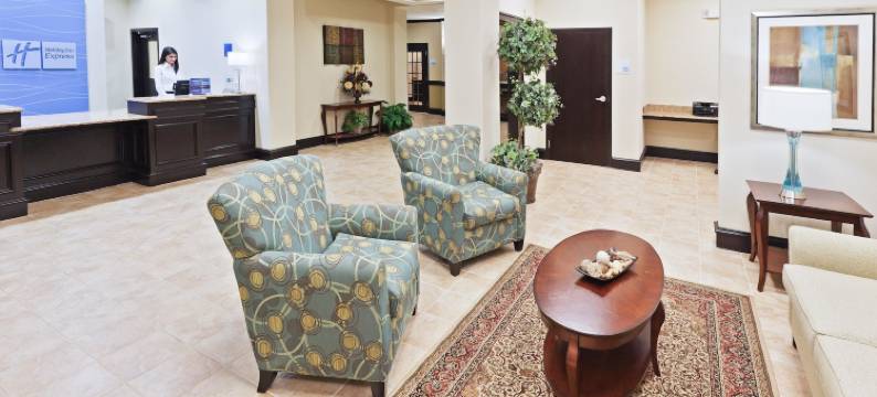 智选假日套房酒店布朗菲尔德(Holiday Inn Express & Suites BROWNFIELD by IHG)图片