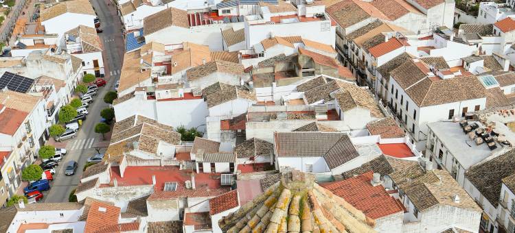 Lemon Tree Patio-Mountain View, Delightful Home in Olvera-Cadiz-Andalucia-Spain图片