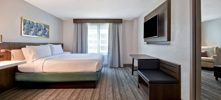 休斯顿加勒里亚区希尔顿花园酒店(Hilton Garden Inn Houston/Galleria Area)图片