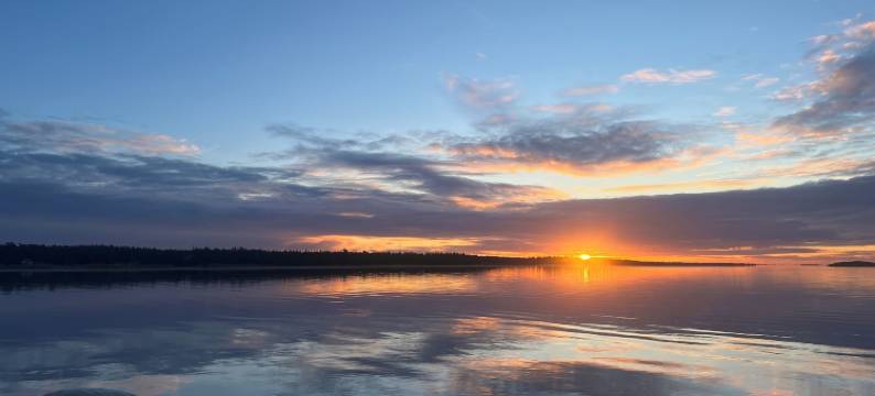 瓦勒维肯斯酒店和餐厅(Vallevikens Hotell och Restaurang)图片