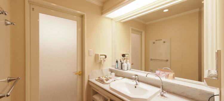 美好酒店-大阪岬/免费停车(Hotel Fine Misaki Osaka)图片