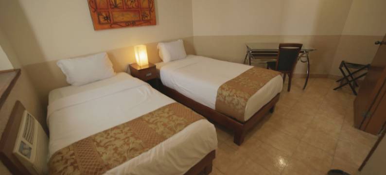 富豪酒店(El Regio)图片