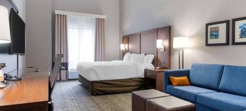 帕迪尤卡购物中心区舒适套房酒店(Comfort Suites Paducah Mall Area)图片