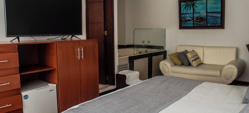 诺加尔套房酒店帕斯托(Nogal Suite Hotel Pasto)图片