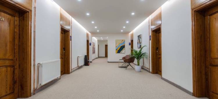 阿法酒店(Hotel Afa)图片