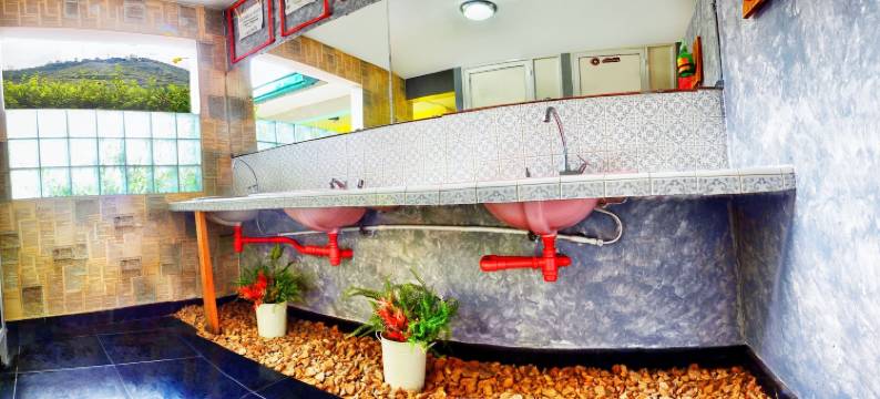 佩里坎拉里青年旅馆(The Pelican Larry Hostel)图片