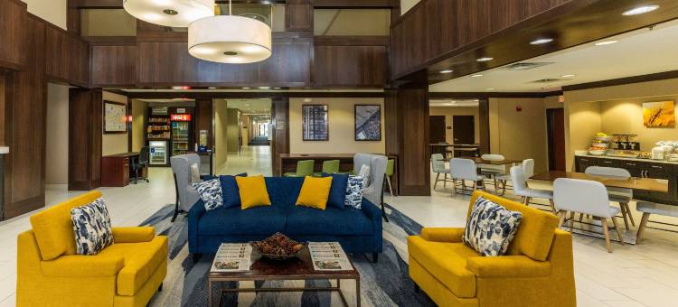 舒适套房酒店-休斯顿西克莱路(Comfort Suites Houston West at Clay Road)图片