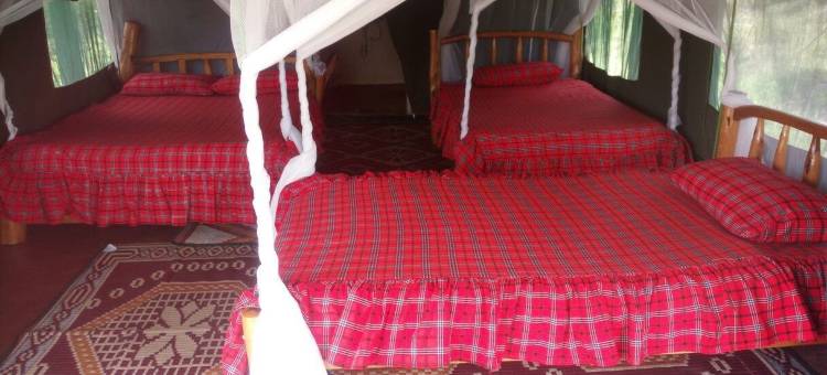 Masai Mara Manyatta Camp图片