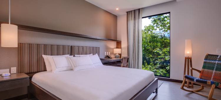 Botanika奥萨半岛，希尔顿精选系列(Botanika Osa Peninsula, Curio Collection by Hilton)图片