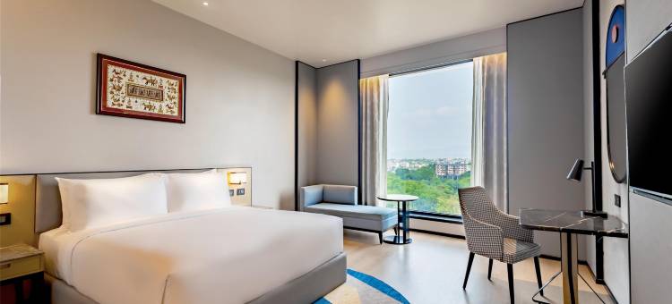 贾姆谢德布尔丽笙酒店(Radisson Hotel Jamshedpur)图片