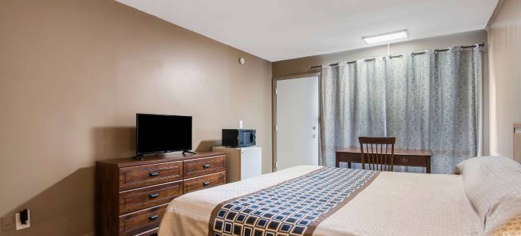 阿姆斯特丹骑士酒店(Knights Inn Amsterdam)图片