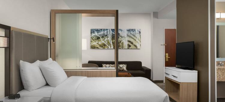 波士顿皮博迪万豪SpringHill酒店(SpringHill Suites Boston Peabody)图片