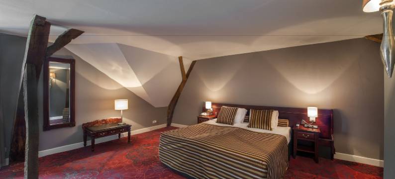 达伦布鲁克堡浪漫酒店(Romantik Hotel Kasteel Daelenbroeck)图片