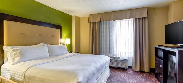 Holiday Inn 焦糖(Holiday Inn INDIANAPOLIS CARMEL by IHG)图片