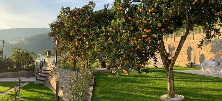 波多维拉(Portovella)图片