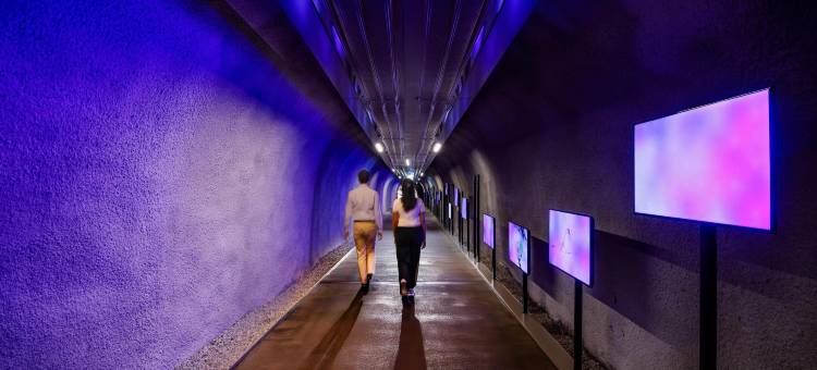 富如特山度假村(Frutt Lodge & Spa Managed by Kempinski)图片