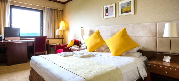 冈山国际酒店(Okayama International Hotel)图片