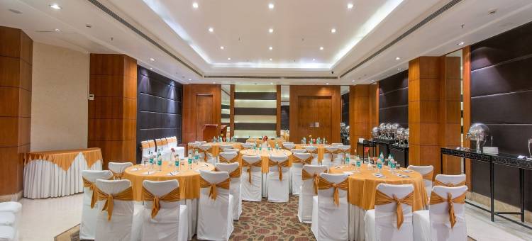 齐普尔纳萨诺瓦之廊酒店(Sarovar Portico Jaipur)图片