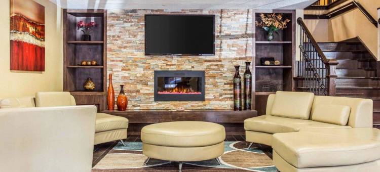 棒球场区舒适套房酒店(Comfort Inn & Suites Ballpark Area)图片