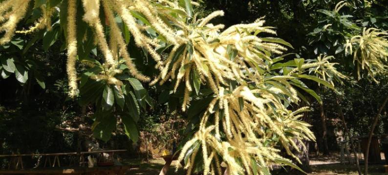 A Fábrica da Luz旅舍 - 青年旅舍(Albergue A Fábrica da Luz - Hostel)图片