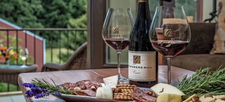 青年堡山酒店(Youngberg Hill)图片