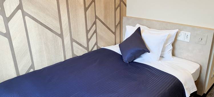 利夫马克斯经济型酒店-平冢站前店(HOTEL LiVEMAX BUDGET Hiratsuka Ekimae)图片