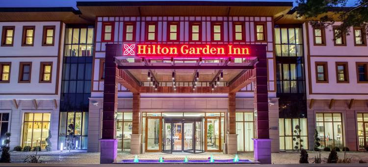 番红花卢希尔顿花园酒店(Hilton Garden Inn Safranbolu)图片