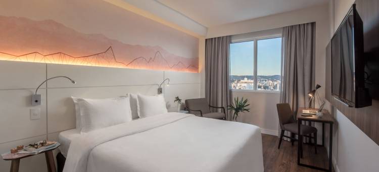 阿雷格里港城际下城酒店(Intercity Porto Alegre Cidade Baixa)图片