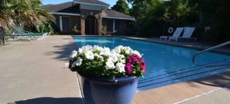 好景观庄园民宿(Far View - A Bed & Breakfast Estate)图片