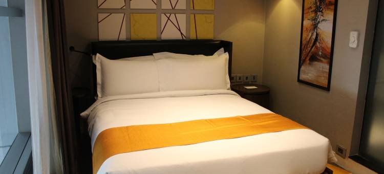 新德里国际机场T3航站楼智选假日酒店(Holiday Inn Express New Delhi Int'l Airport T3)图片