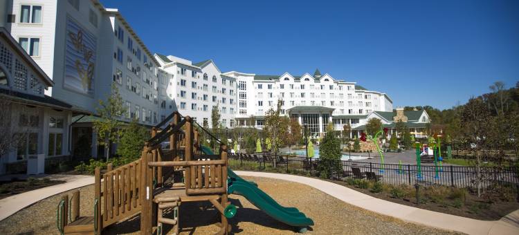 达莱坞梦想度假村(Dollywood's DreamMore Resort and Spa)图片