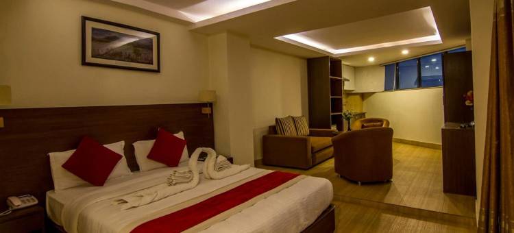 富豪机场酒店(Hotel Regal Airport)图片