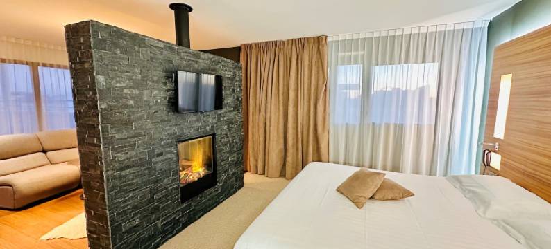 圣布里厄普莱兰英国人酒店(Brit Hotel & Spa Saint Brieuc Plérin)图片