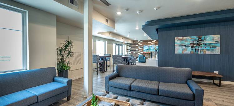 Soka套房达拉斯 - 拉斯科林纳斯(Soka Suites Dallas - Las Colinas)图片