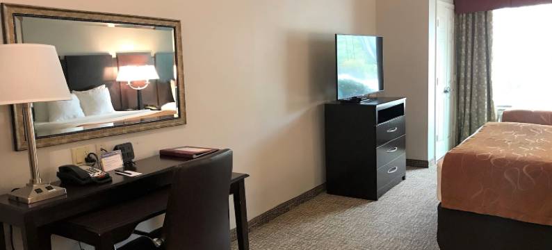 舒适套房酒店(Comfort Suites Bay City)图片