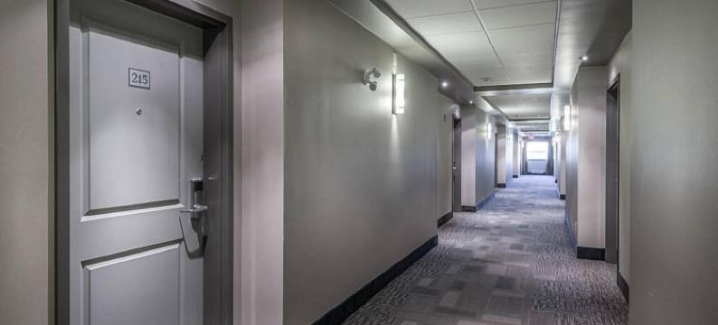 廷柏山套房酒店(Timber Ridge Inn and Suites)图片